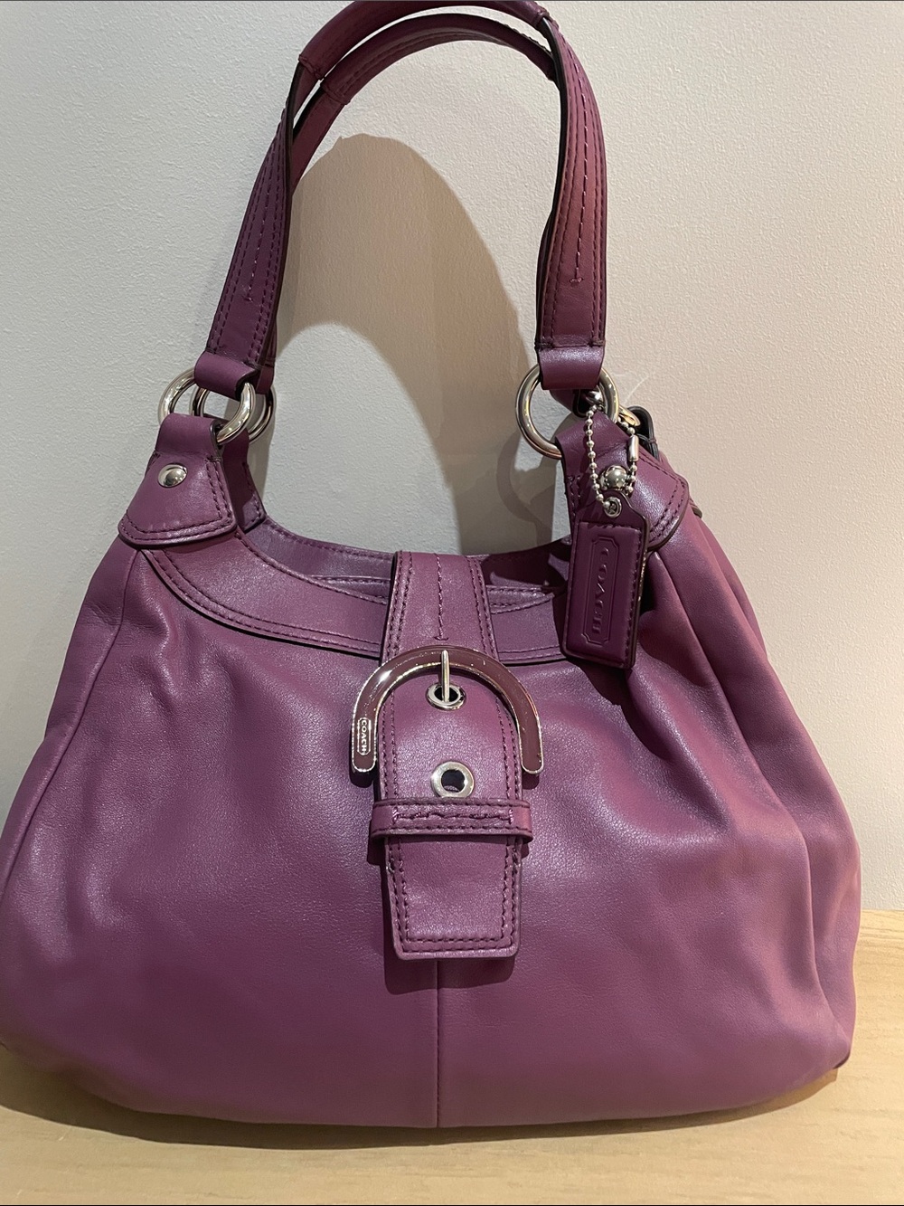 Coach Soho Lynn Hobo Leather Bag